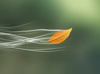 Illustration passion - Image 1