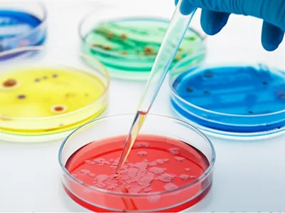 Illustration sampled - Image 1