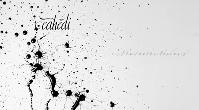 Illustration blot - Image 1