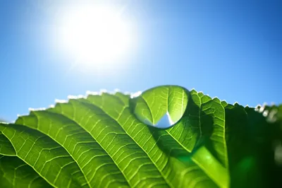 Illustration apparent - Image 1