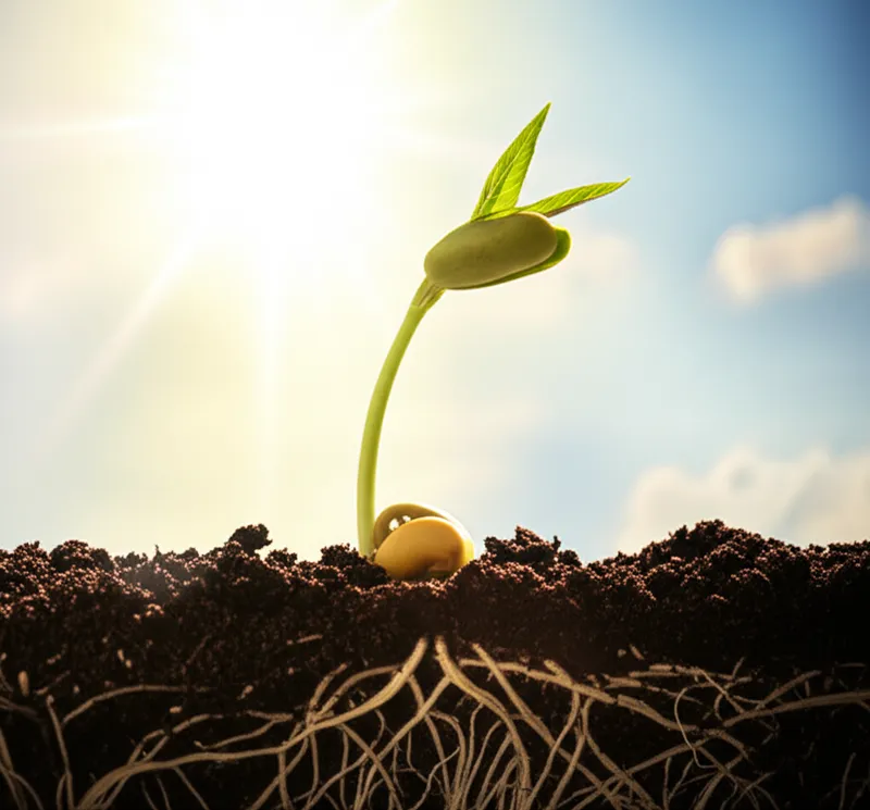 Illustration visuelle du mot « manifestations » - Manifestations, révélations