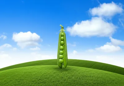 Illustration peas - Image 1