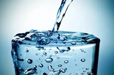 Illustration replete - Image 2