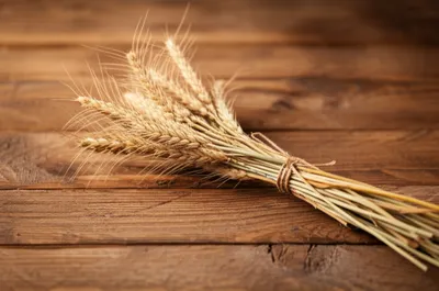 Illustration fascicule - Image 1