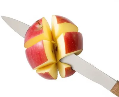 Illustration sectioning