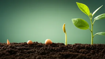 Illustration multiplies - Image 1