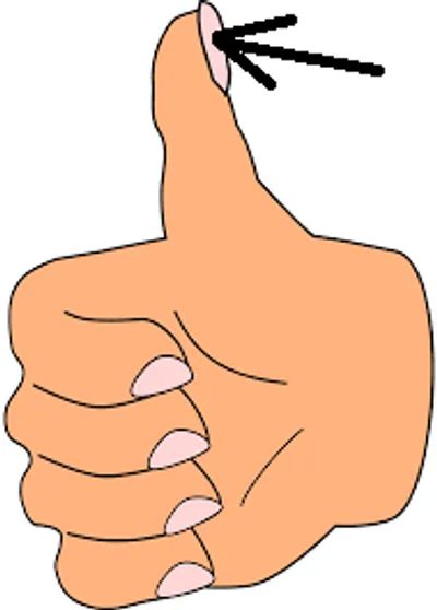 Illustration thumbnail - Image 2