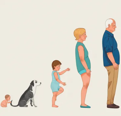 Illustration tonal - Image 1