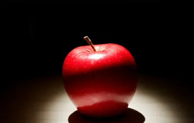 Illustration evidently - Image 1