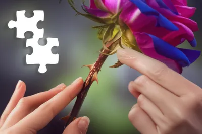 Illustration salve - Image 1