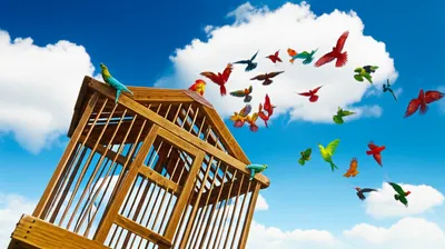 Illustration dropping - Image 1