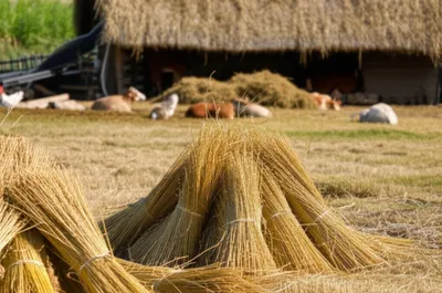 Illustration helms - Image 1