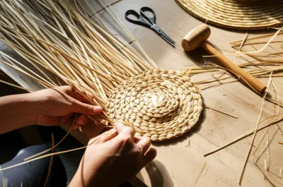 Illustration plat - Image 1