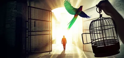 Illustration bail - Image 1