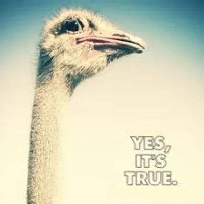 Illustration sense - Image 2