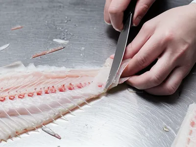 Illustration filet - Image 1