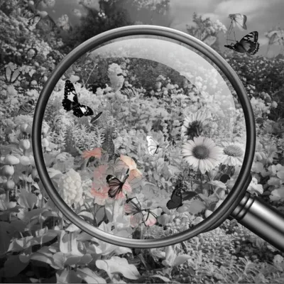 Illustration monochromatic - Image 1