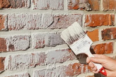 Illustration liming - Image 1