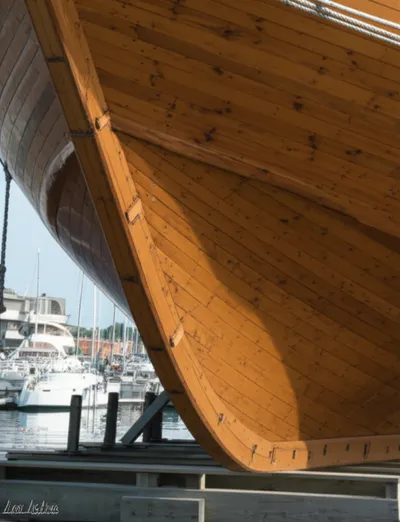 Illustration gripe - Image 1