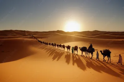 Illustration caravan - Image 1