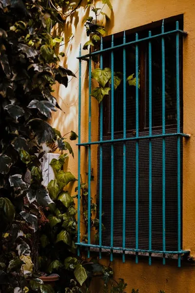 Illustration grilles - Image 2