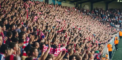 Illustration terraces - Image 1