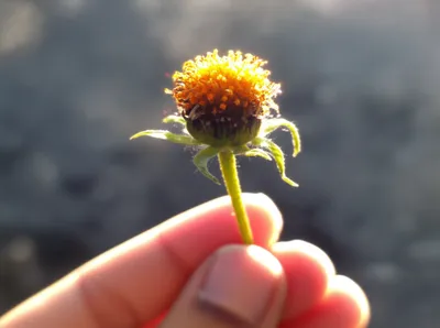 Illustration alleviate