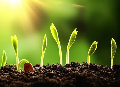 Illustration starts - Image 1