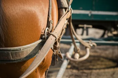 Illustration traces - Image 1