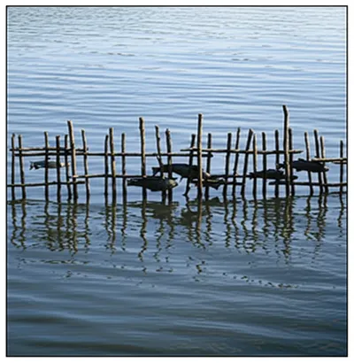 Illustration wear - Image 1