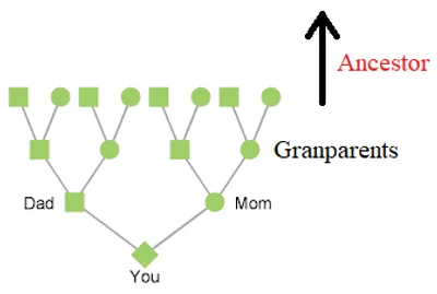 Illustration ancestor - Image 2