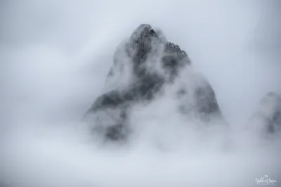 Illustration skirts - Image 1