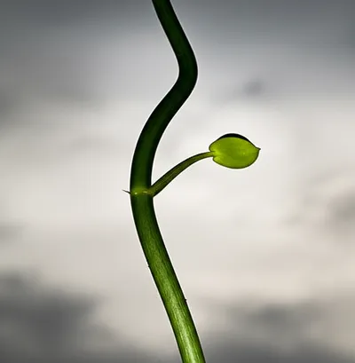 Illustration stunt - Image 1