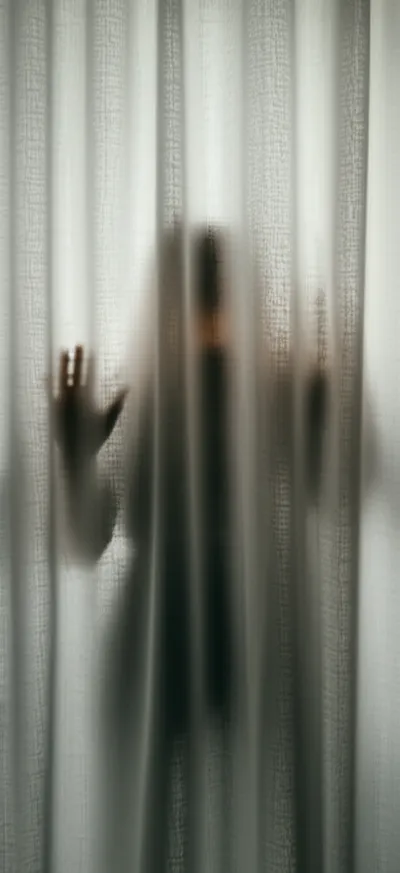 Illustration veiled - Image 1