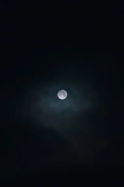 Illustration nigh - Image 2