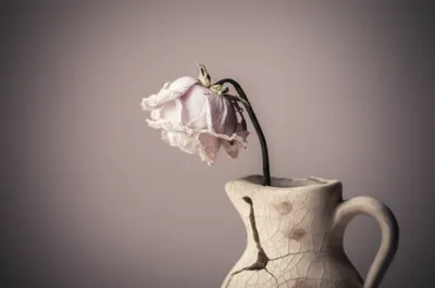 Illustration wet - Image 1