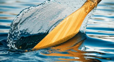 Illustration peels - Image 1