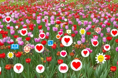 Illustration vocabulary - Image 1