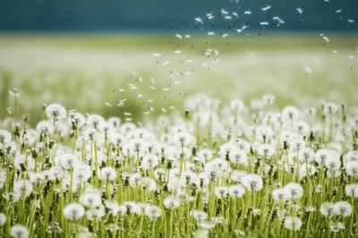 Illustration sparkle - Image 1