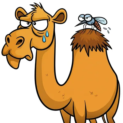 Illustration hump - Image 1