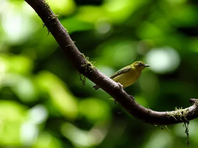 Illustration underweight - Image 1