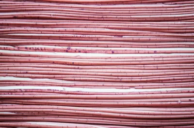 Illustration fibres - Image 1