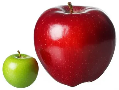 Illustration oversized