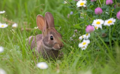 Illustration squat - Image 1