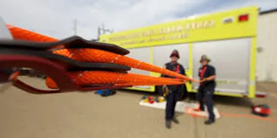 Illustration purchase - Image 2