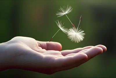 Illustration just - Image 1