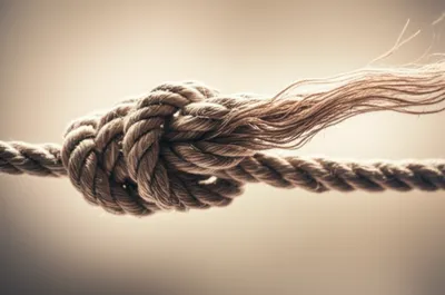 Illustration solving - Image 1