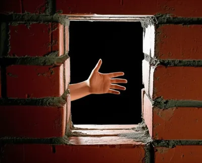 Illustration immuring - Image 1