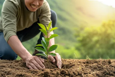 Hình ảnh minh họa dos - Ảnh 1