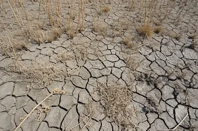 Illustration impoverishes - Image 1